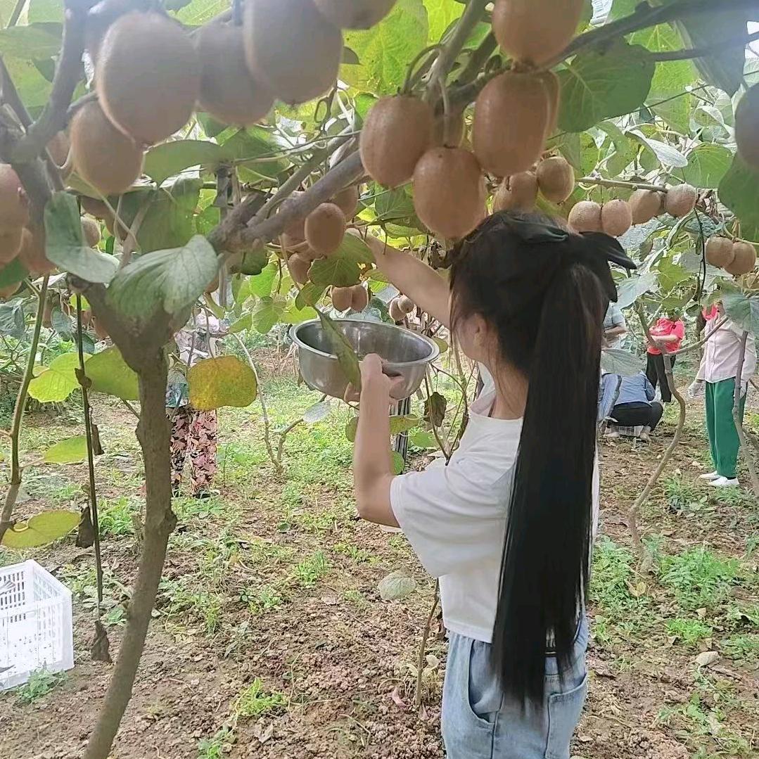 以琳