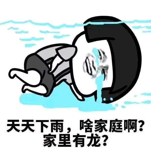 刘国栋