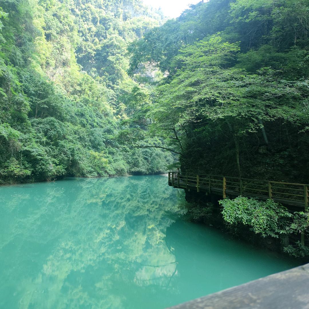 🌸春暖花开🌸