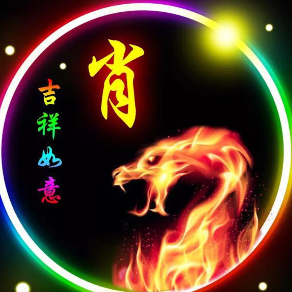 山东哈哈哥