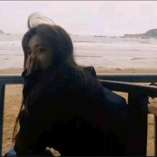 海桐.