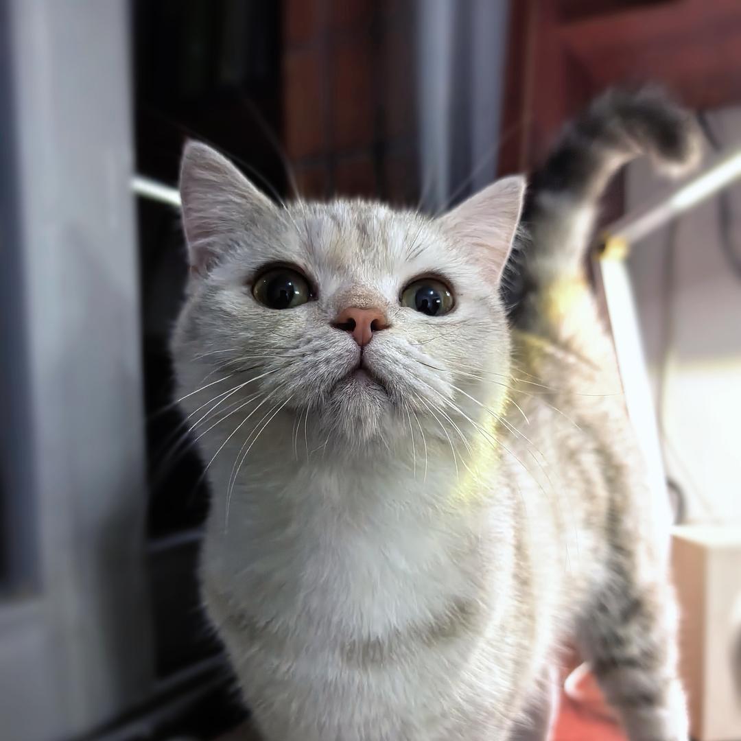 满崽来啦