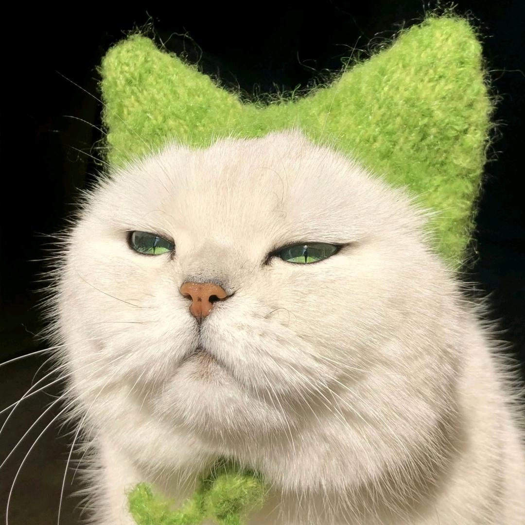 禁止焦虑