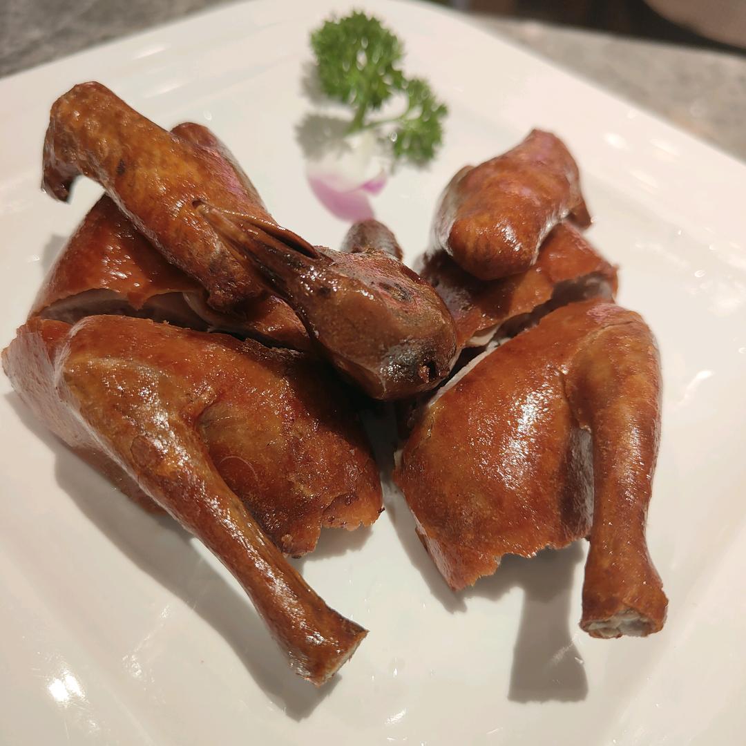自由的风头像