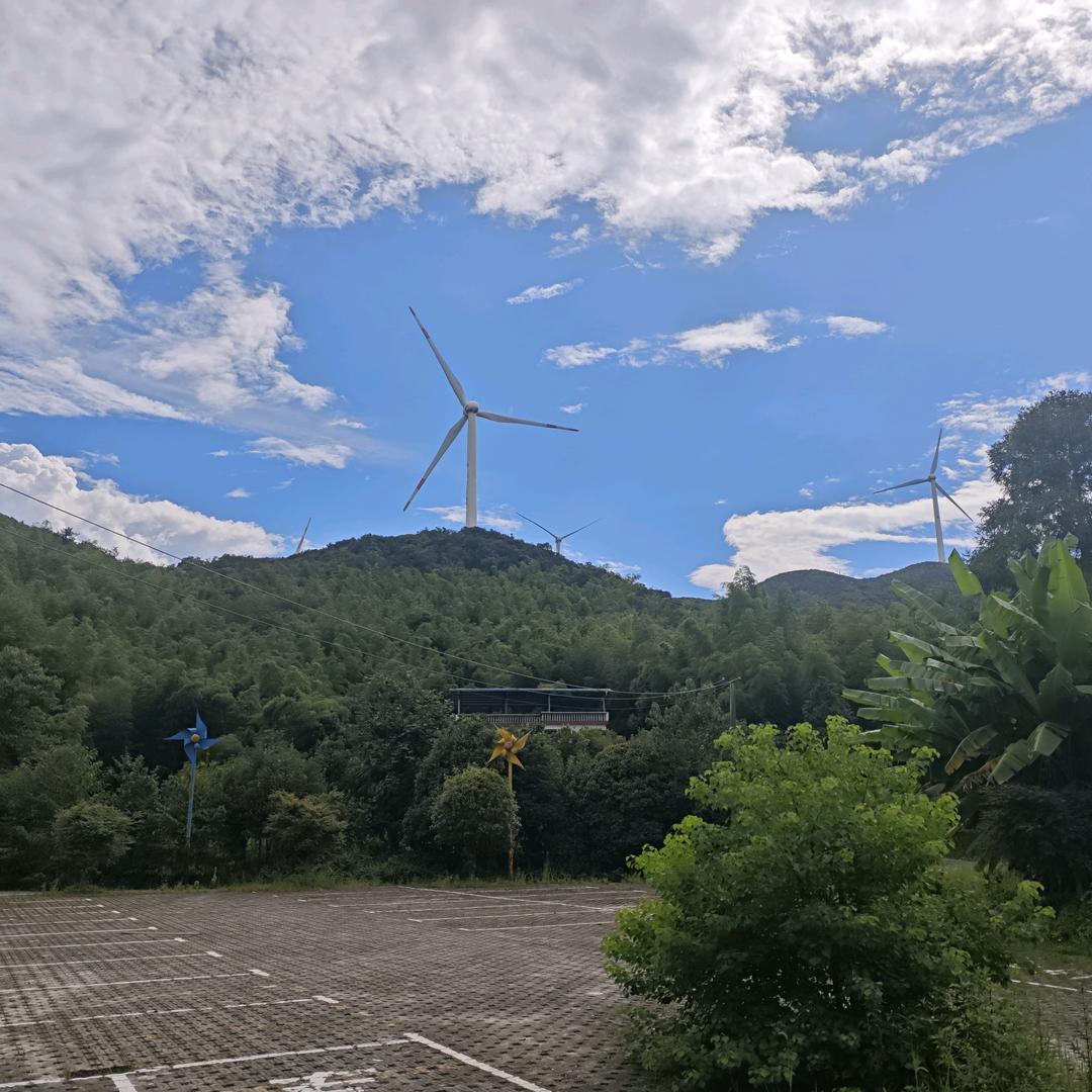 忘记过去，展望未来