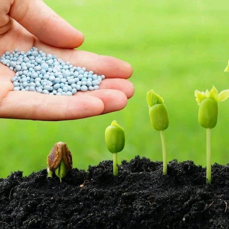 汇彩源草业.种子，种业供应商