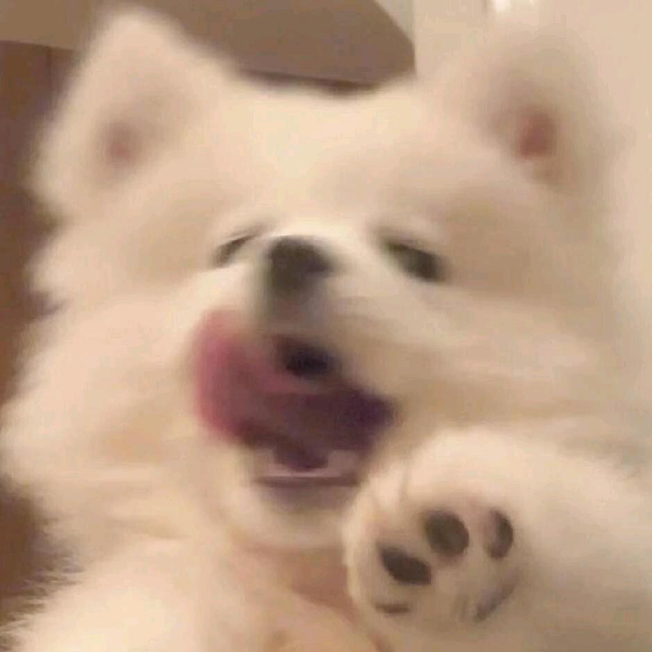 一夜暴富🙏🏻