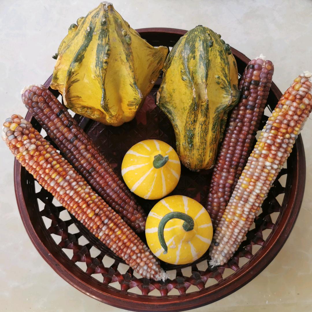 文玩好物小铺子