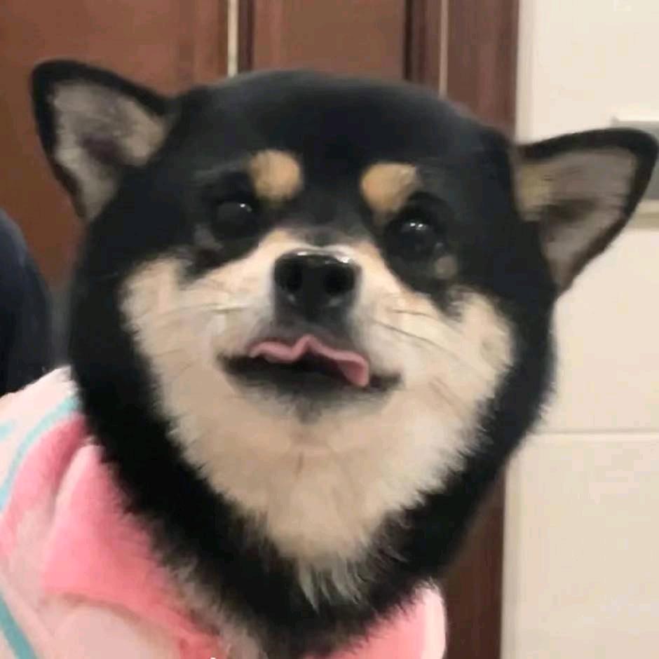 鱼香肉丝