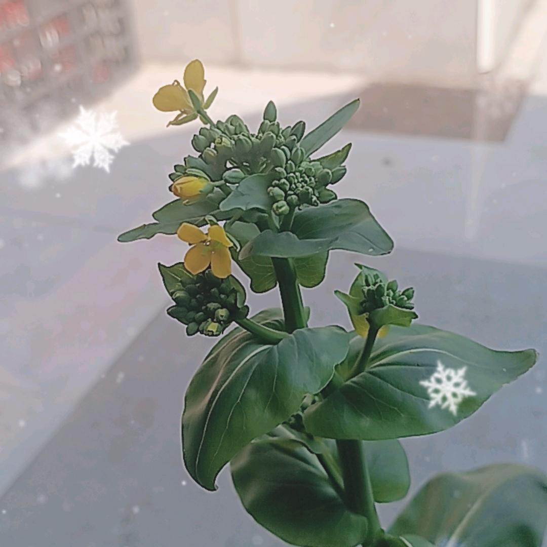 七零后