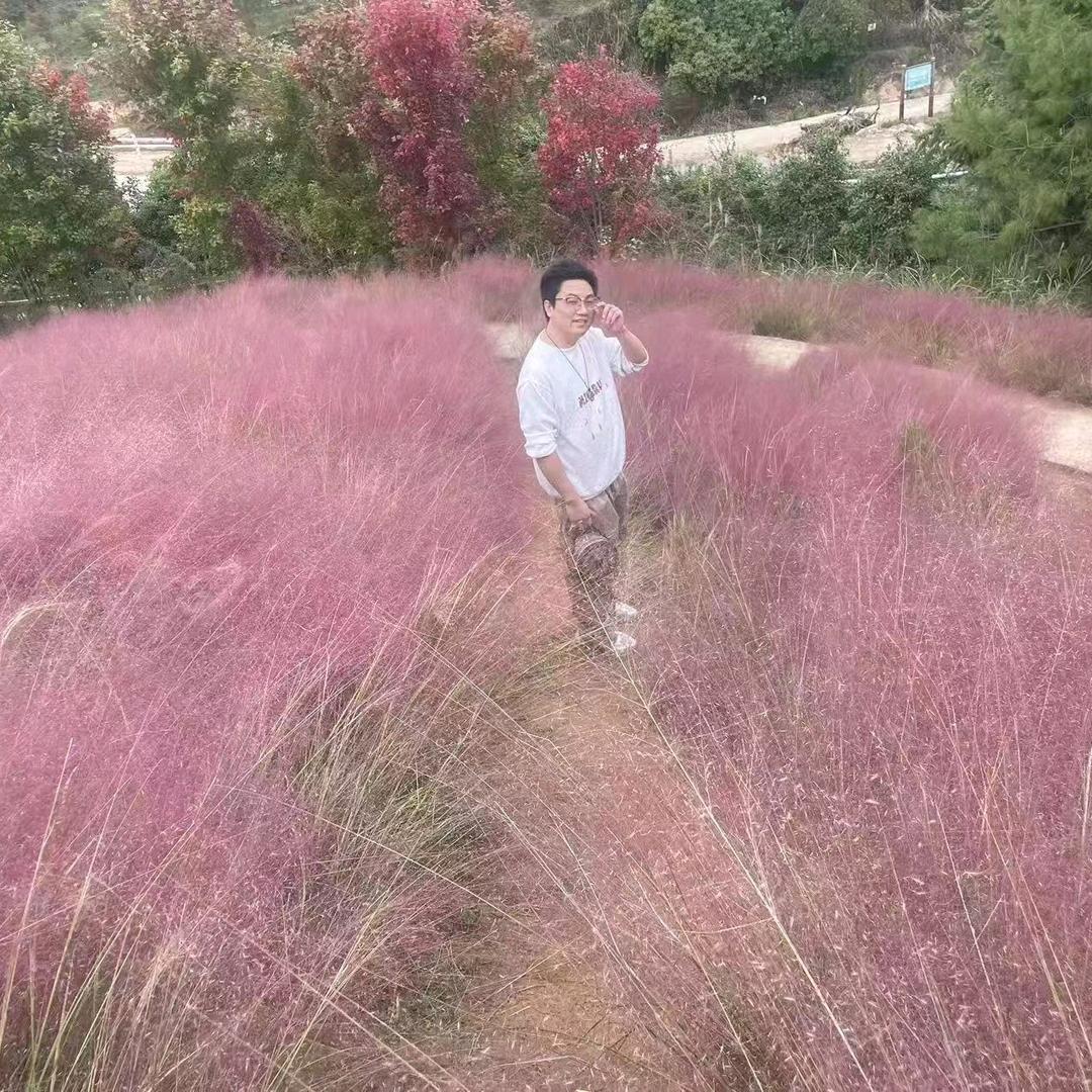 火炎