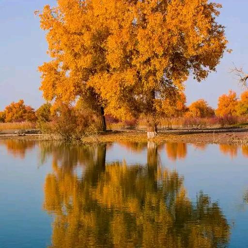 没依没靠，独闯西域