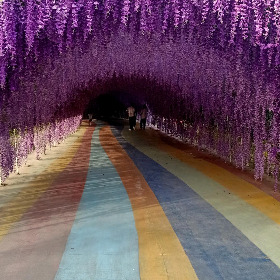 好运来🌷🌷