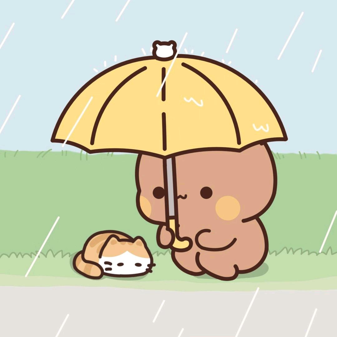 广西科技大学小庞学长