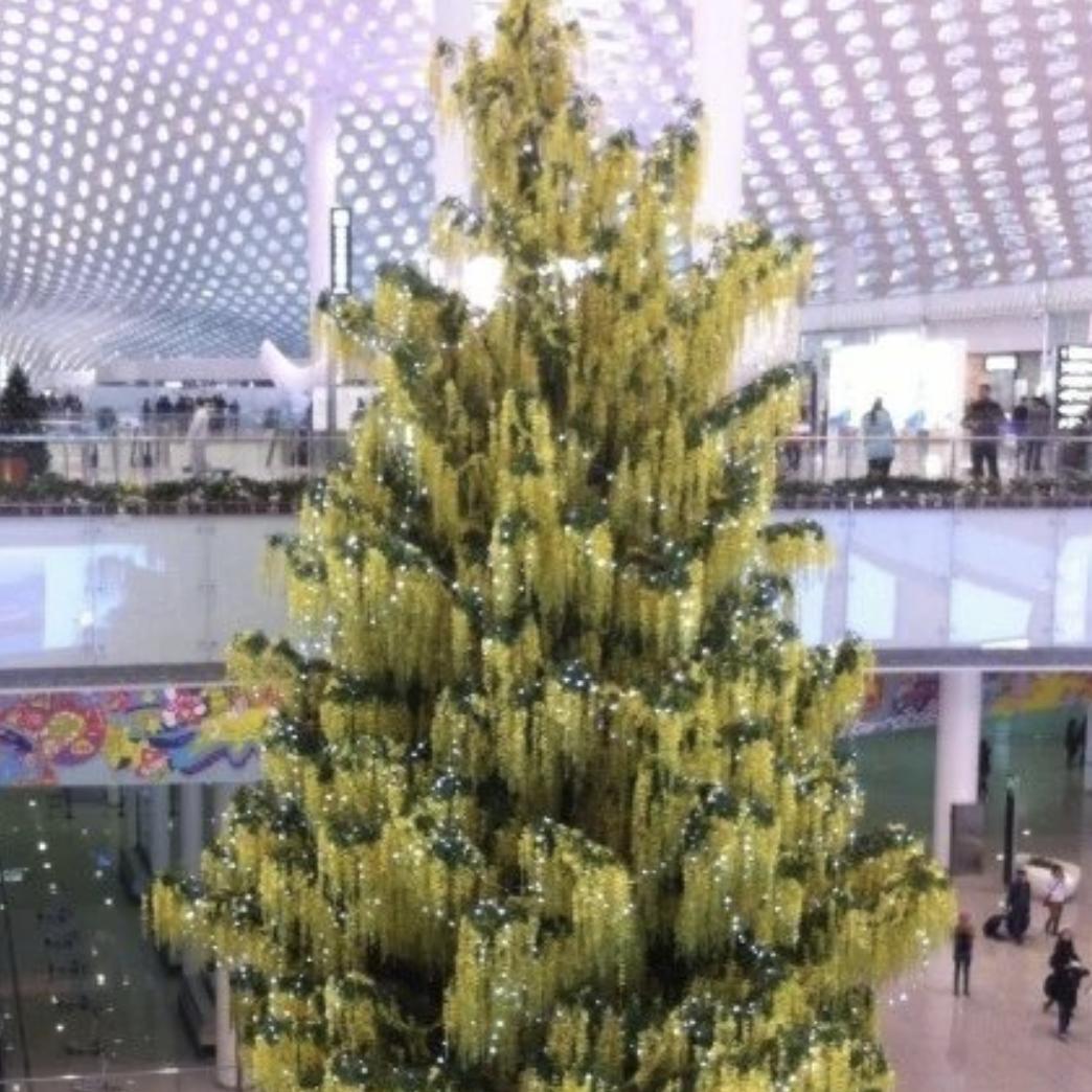 刘🎄