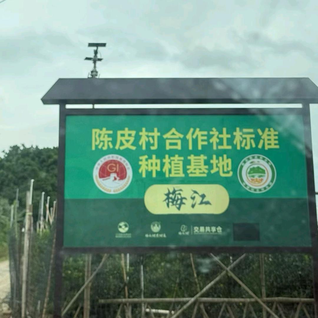 梅江圈枝果园～辉