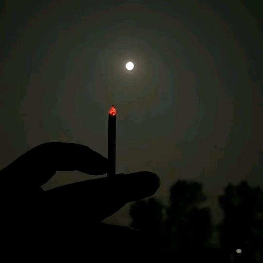 ✧ʕ̢̣̣̣̣̩̩̩̩扶摇  万里Ɂ̡̣