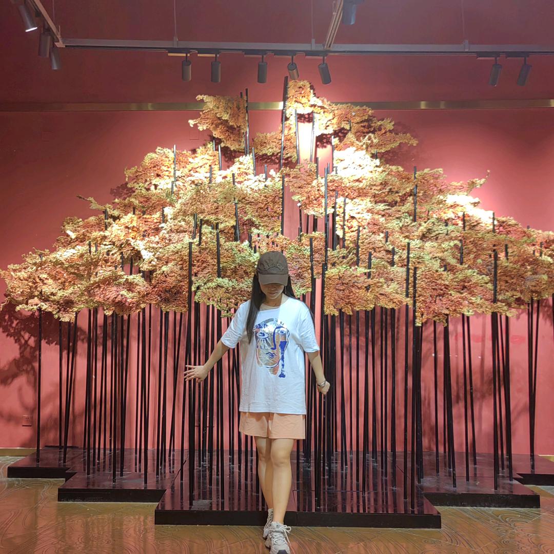 🌸是文丽吖🌸