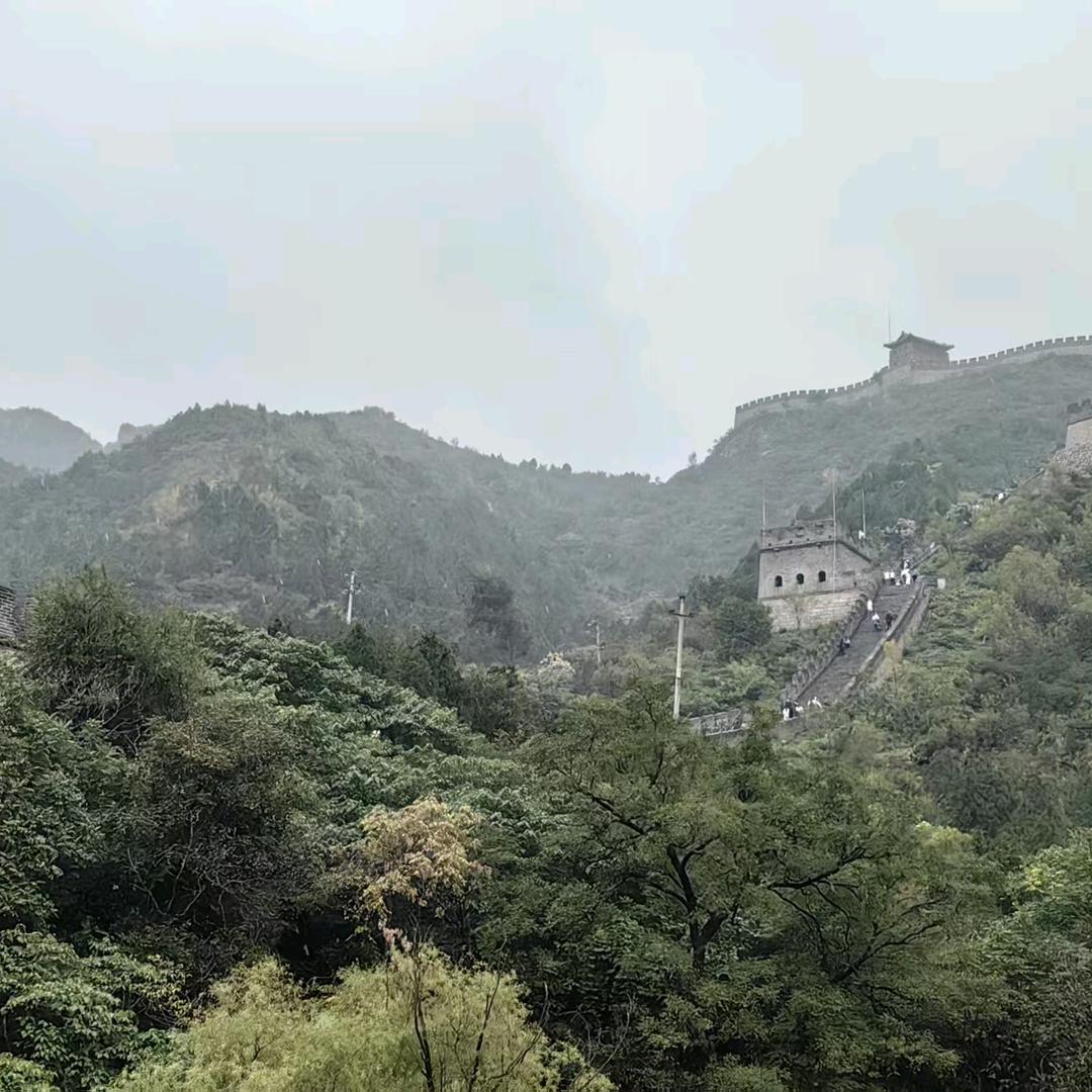 丁悦