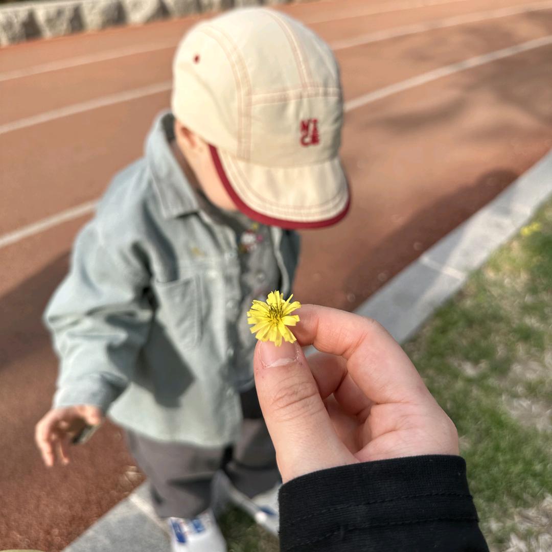 🌊沧海云帆
