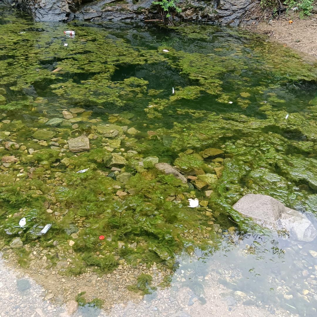 不离不弃