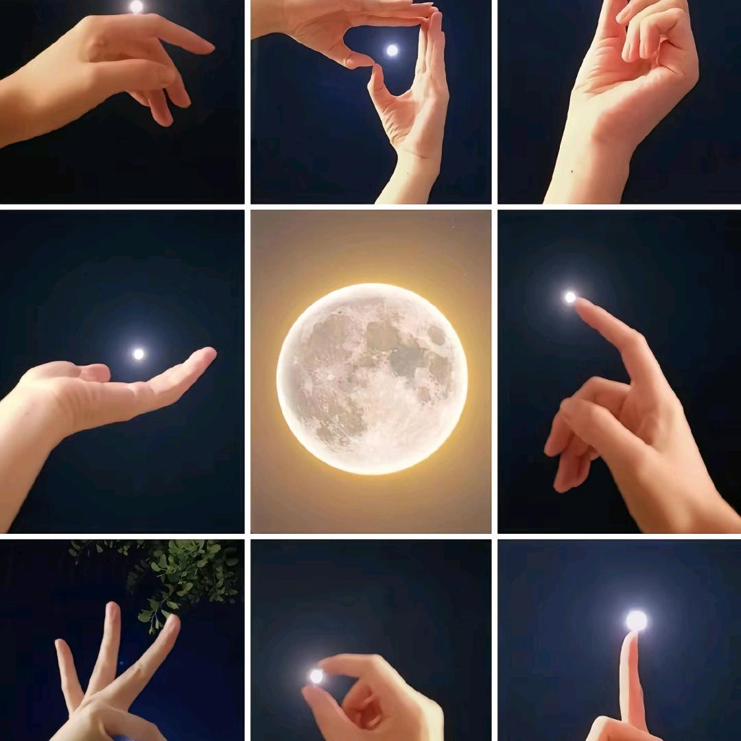 🌈暖心向阳🌈