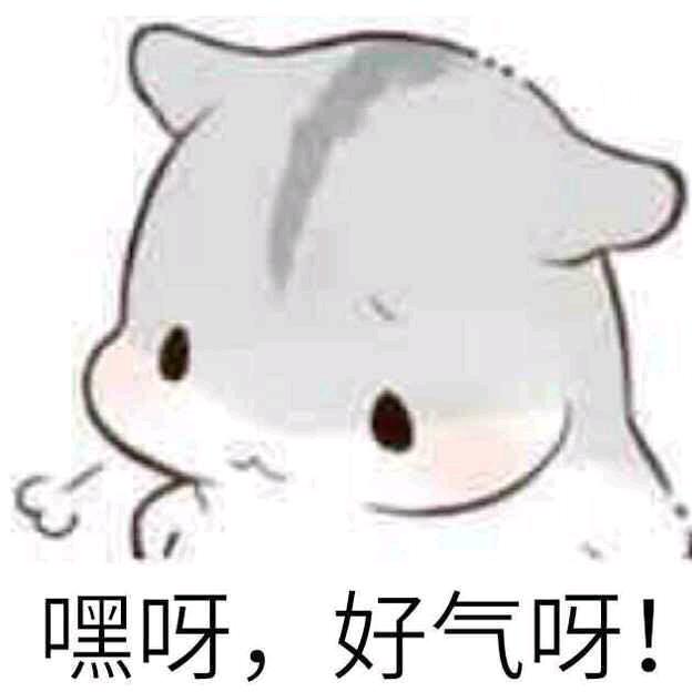 荡漾