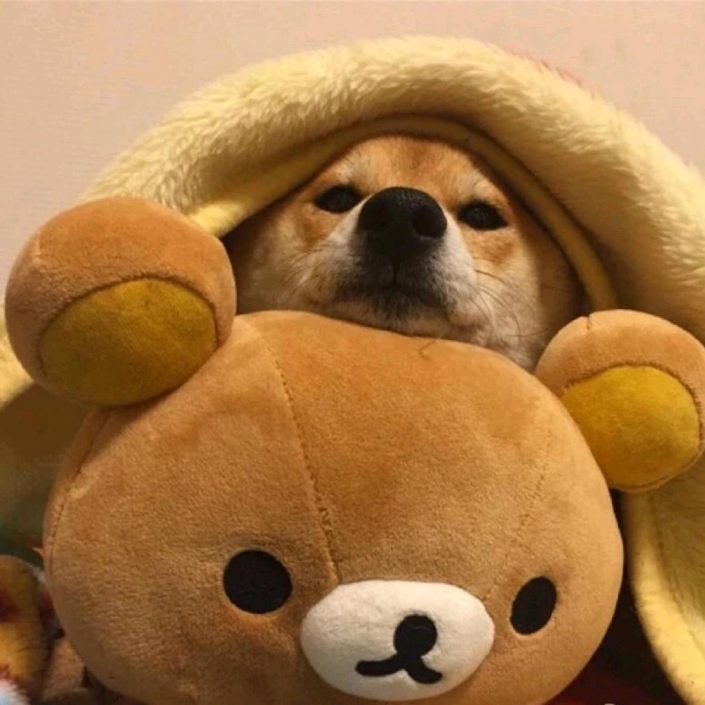 🌈阳ˉ﹃ˉ光