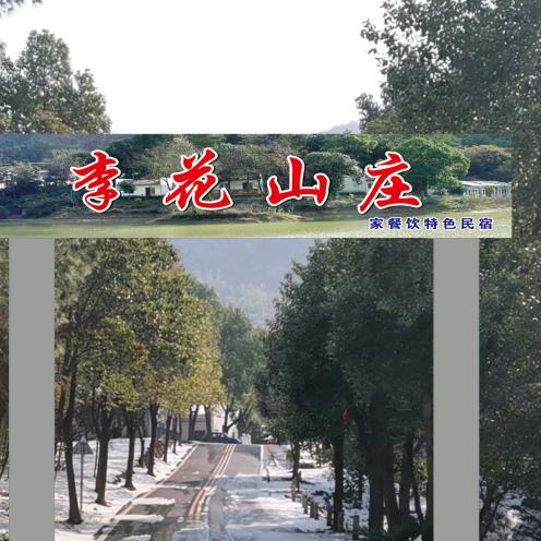 李花山庄