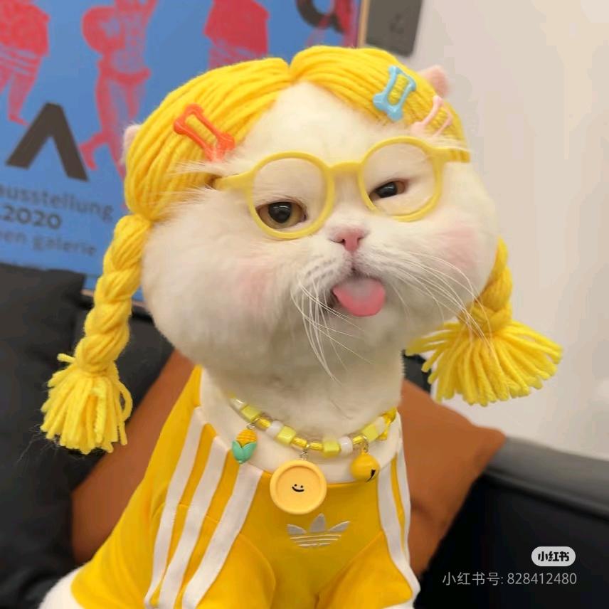 自信且躺平☪.