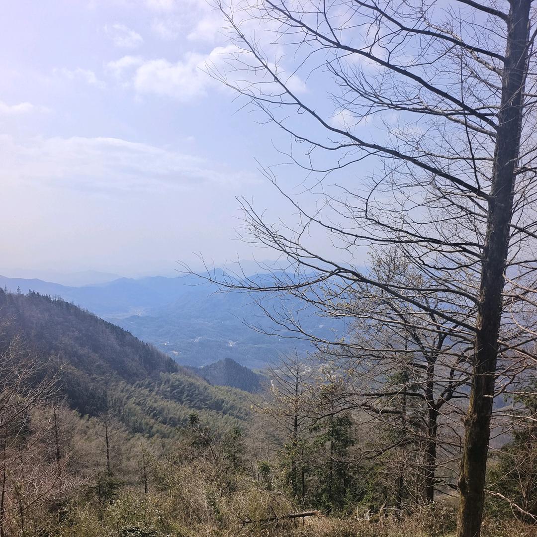 生活不止眼前的苟且5