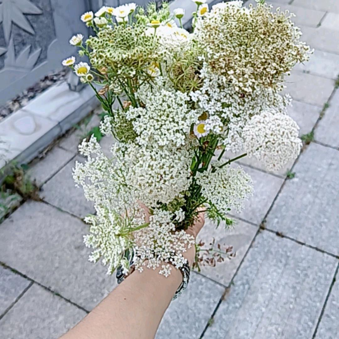 如果时光可以倒流。。。