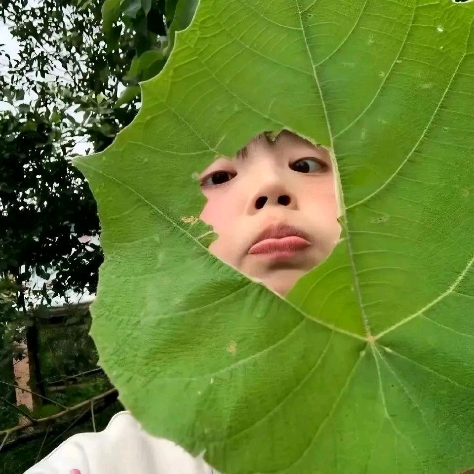 不不不吃菜梗