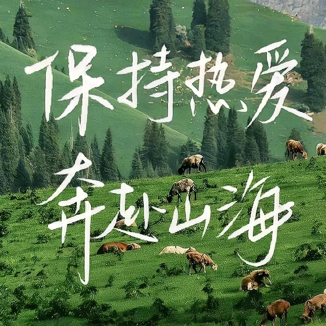 少年游