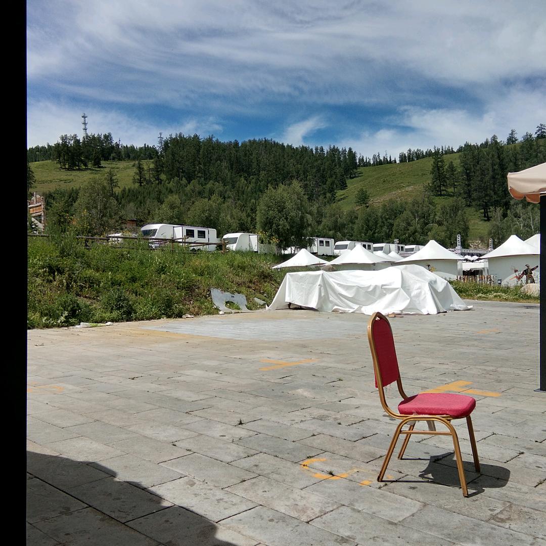 爱吃鱼🐟的猫1