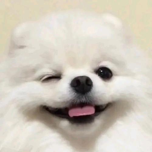 霞姐生活家