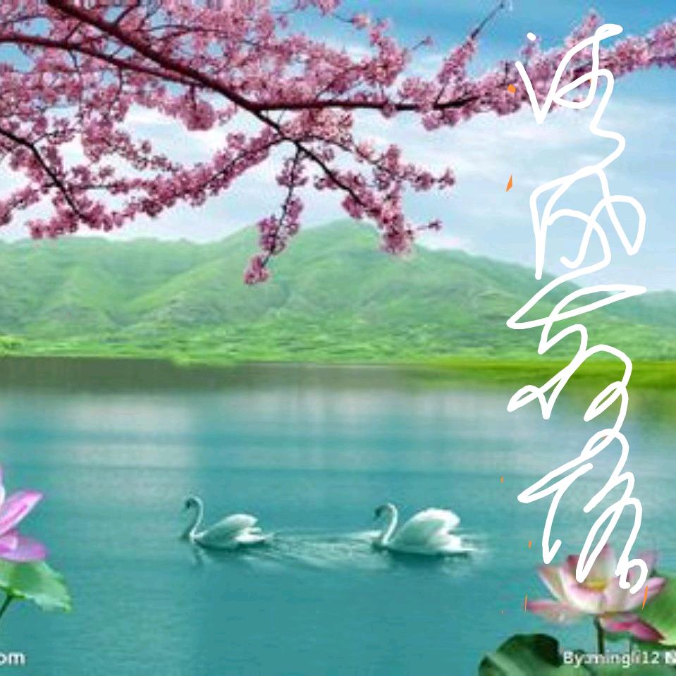 清风荷塘