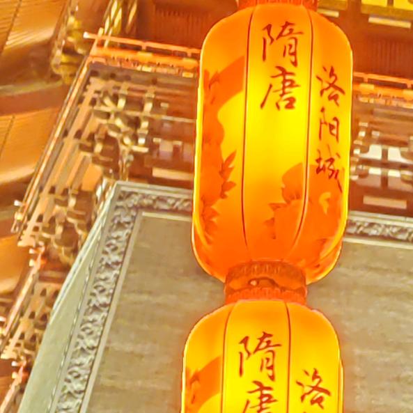 牛牛护理