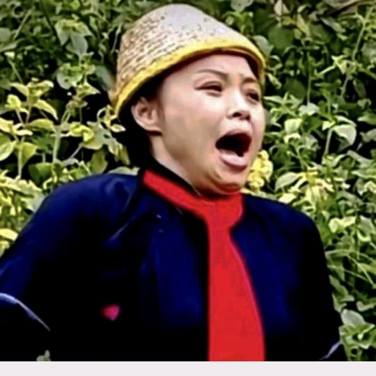 农村阿研
