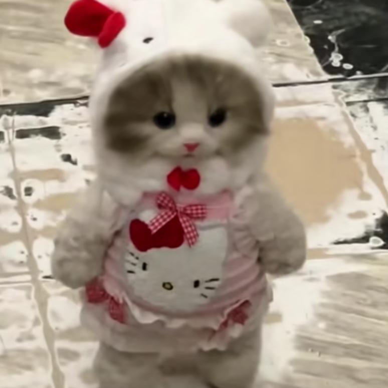 a搞个超长的名字霸位置哈哈哈哈哈