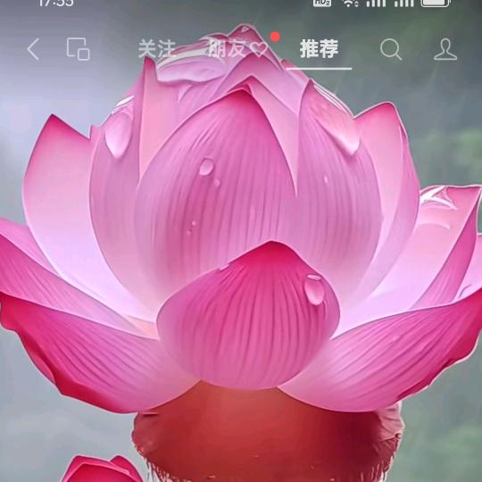 唯美