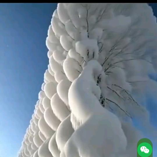 開心至上
