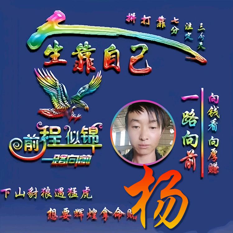 下关吹风上关花榜二哥