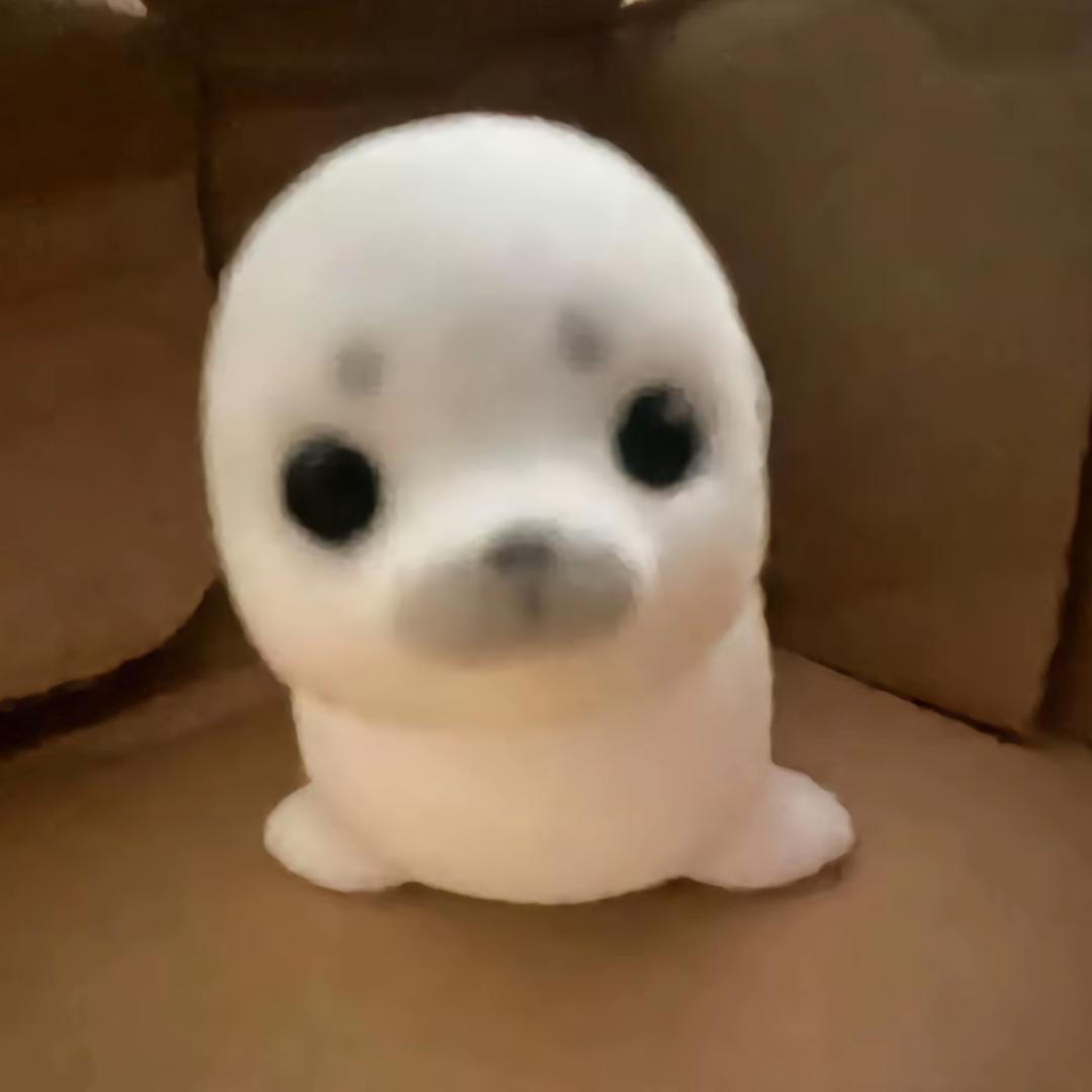 雪中忧郁喂鸡/.