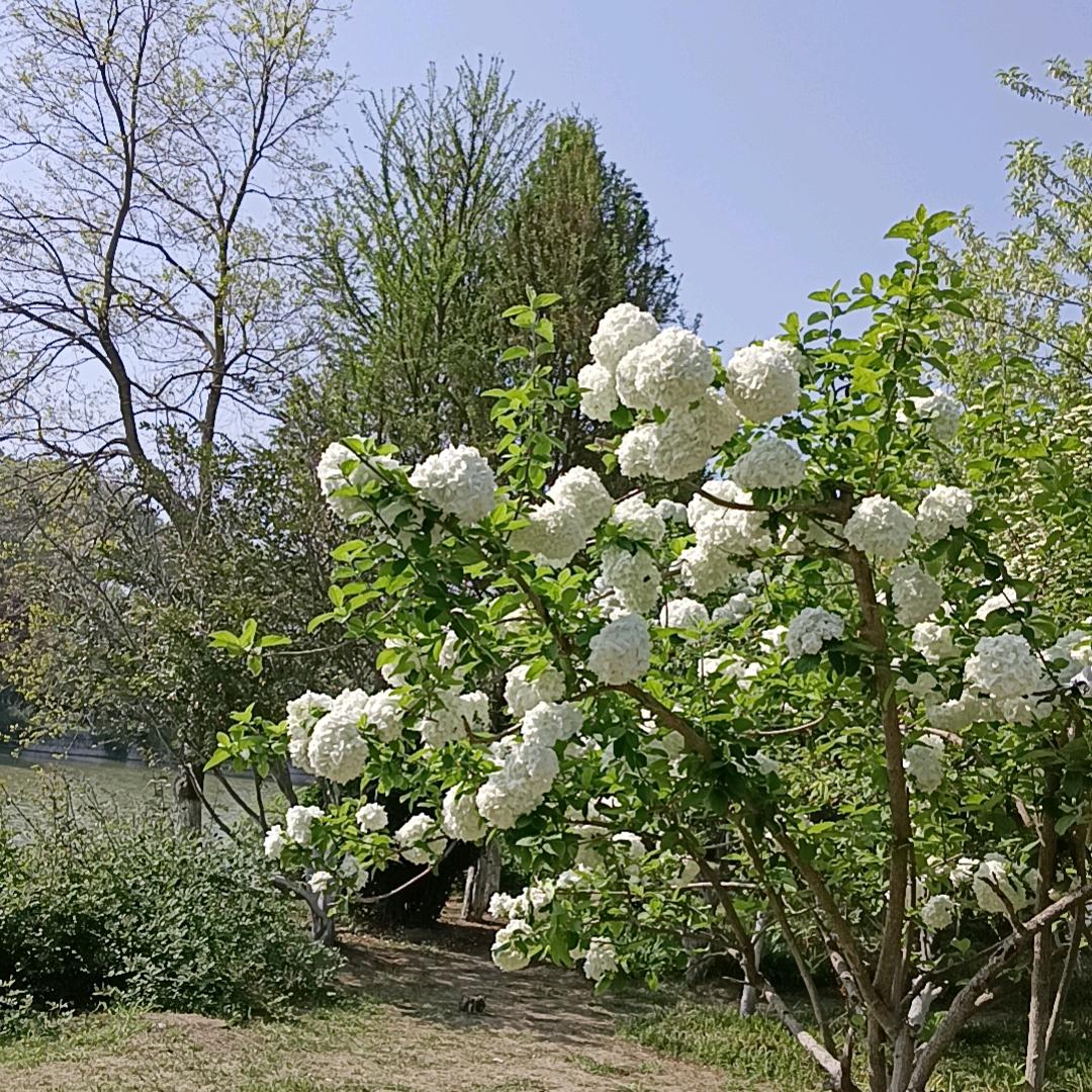 一恋