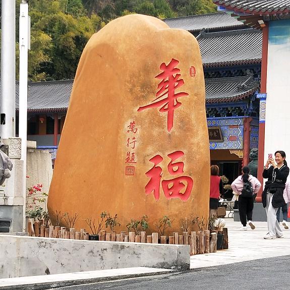 为娱不为鱼