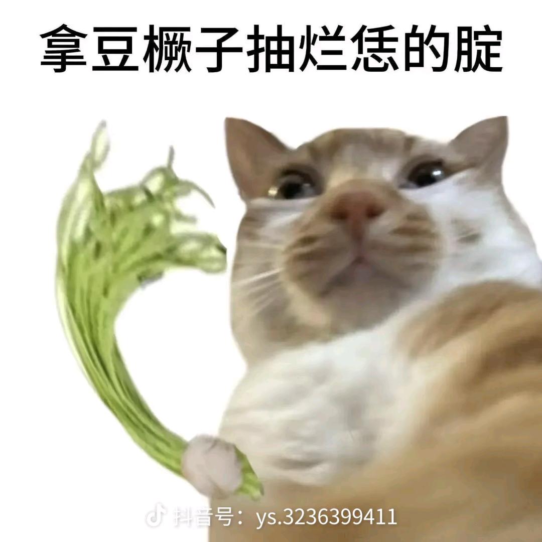 爱在西元前🌇