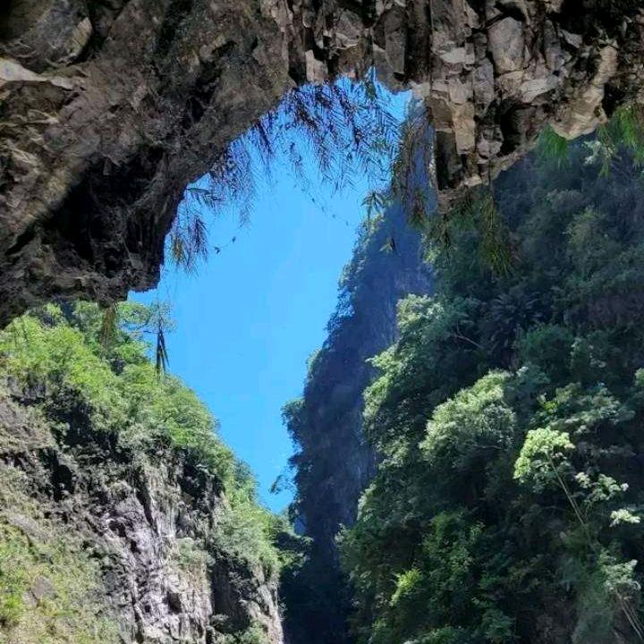 奋斗努力