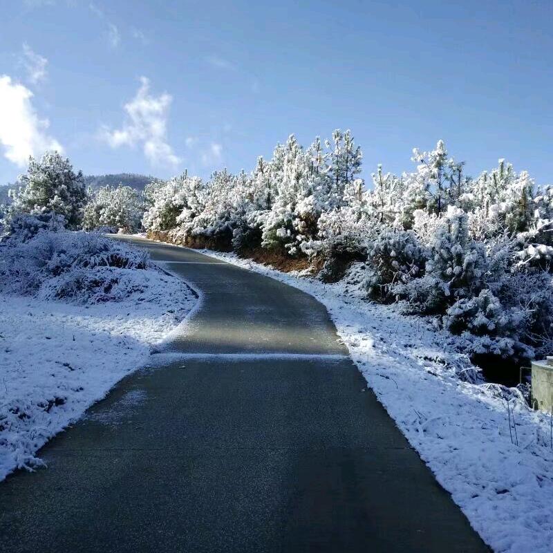 心疼心，不疼我