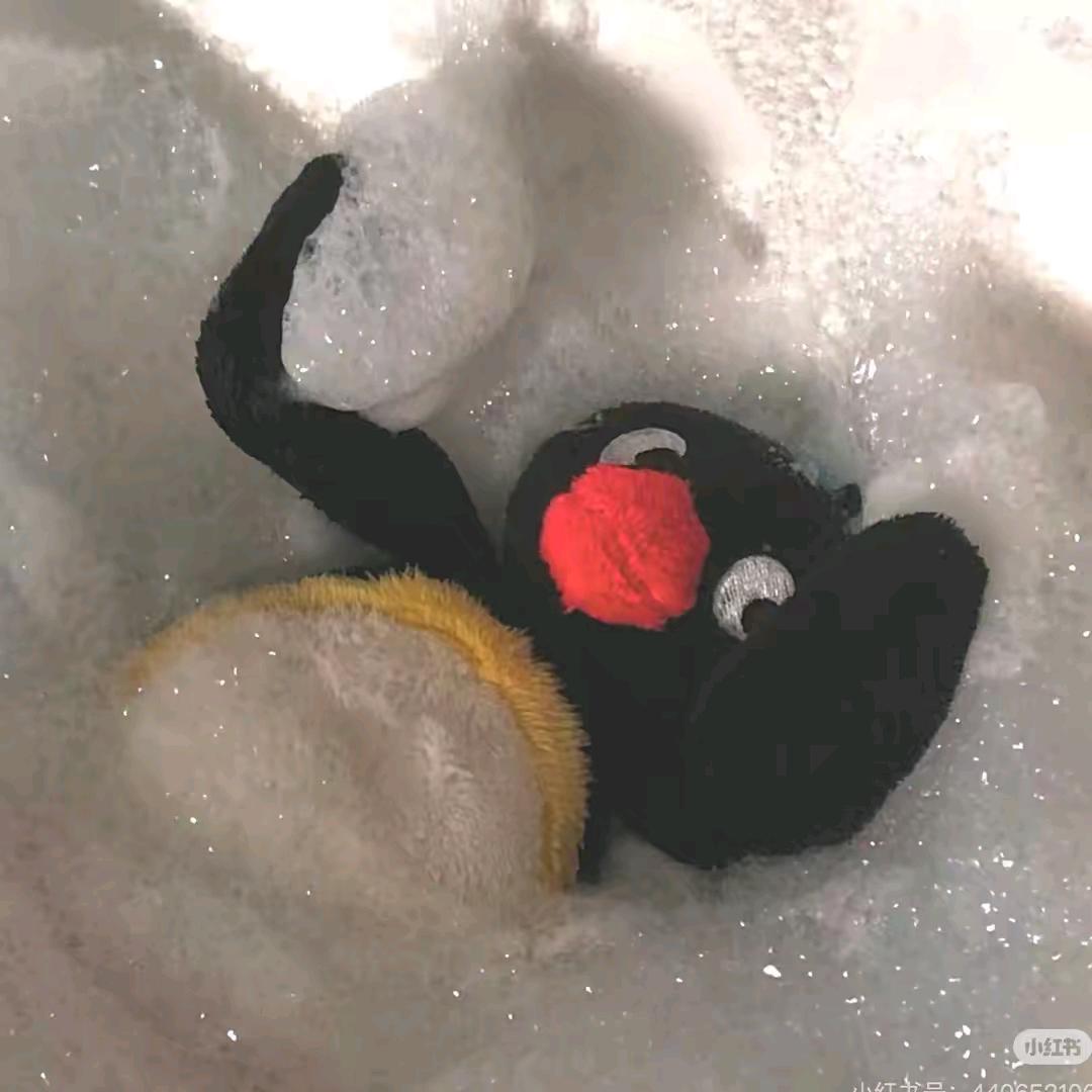 🌈开心小企鹅